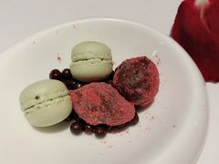 -蝶舍·MAISON PAPILLON