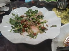 -东鸽皇(奥园·中环广场店)