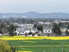 -桤木河湿地公园