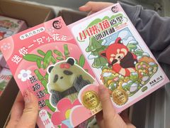 -都江堰中华大熊猫苑