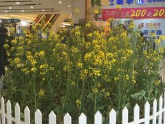 -万达广场(福州金融街店)