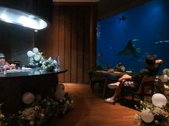 -海棠湾洲际-涛·海底餐厅·美人鱼·自助餐·海底隧道