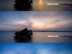 -宝安西湾红树林湿地公园