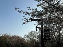 -堤角公园