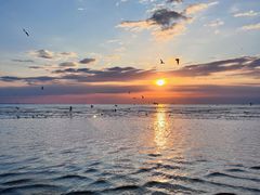 -北戴河转鱼·炒螃蟹酱餐厅