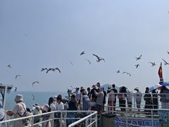 -海驴岛(荣成市)