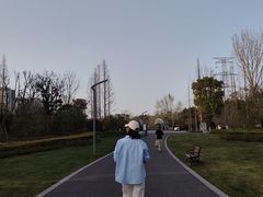 -昆山城市生态森林公园