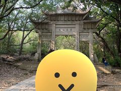 -灵岩山风景区