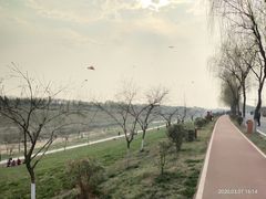 -洨河生态公园