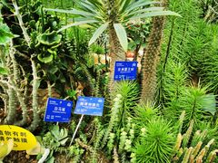 -国家植物园南园