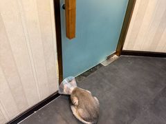 -宠爱国际动物医院·消化内科·心肾内科·ISFM猫友好(望京店)