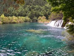 -九寨沟-树正沟