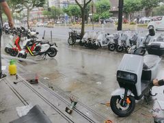 -绿源电动车(普陀专卖店)