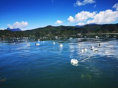 -丽江泸沽湖景区