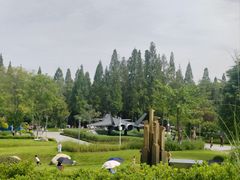 -成飞公园