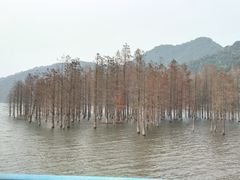 -东钱湖旅游度假区