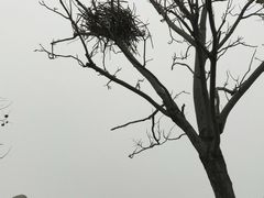 -济南国际园博园