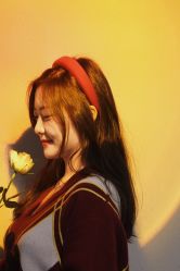 点击看大图 -玛莲朵·海菲秀冰珀科