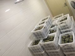 大堂-璐坊粽王(复兴中路店)