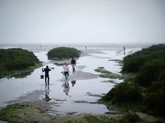 -北海金海湾红树林生态旅游区