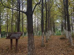 -白马涧龙池景区
