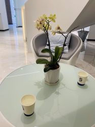 -AiCure 埃可儿·韩国医学皮肤管理