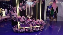 -黛莱皙护肤美妆