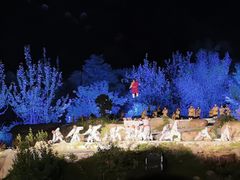 -禅宗少林·音乐大典