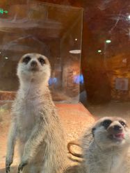 -酷嗒动物文化乐园(cutezoo西溪乐天城店)