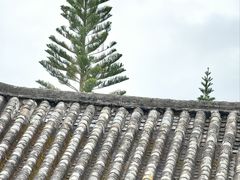-喜洲翰林餐厅(董家百年老宅店)