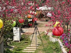 -桃源山庄·水蜜桃采摘·柴火鸡·烧烤团建(龙泉山店)