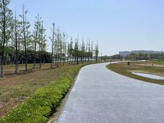 -春花秋色城市公园