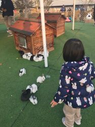 -萌宠亲子动物乐园(槐房万达店)