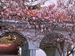 -信号山公园