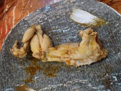 -耗儿鱼蛙蛙叫·老成都火锅(蛇口海昌街店)