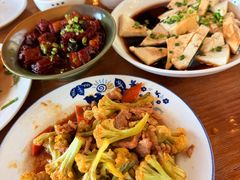 -欢乐松鼠谷