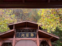 -鸡冠洞风景区