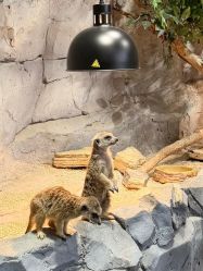 -Zoolung Zoolung动物主题公园(海信广场店)
