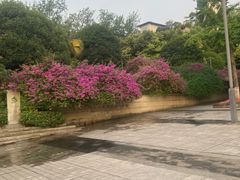 -艾坪山公园