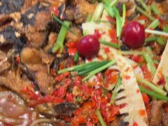 -老板恋上鱼(恒隆广场店)