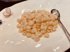 -新雅粤菜馆(南京东路店)