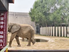 -鄂尔多斯野生动物园