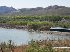 -新疆天山野生动物园