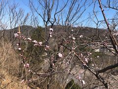 -燕窝岭