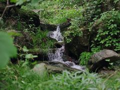 -素山寺森林公园