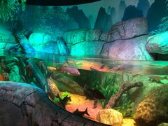 -沈阳海洋探索中心