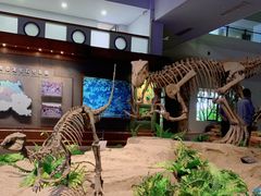 -自贡恐龙博物馆