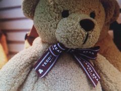 -济州岛泰迪熊博物馆