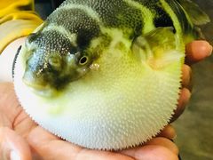 -永安鱼庄·镇江菜(东吴路店)