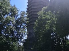 -玲珑塔公园